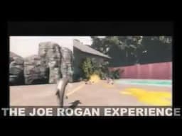 Oh Brian Volume 7 (Joe Rogan Experience: Best of Redban)