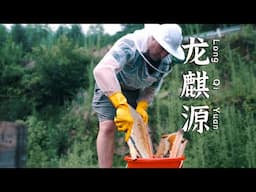 Harvesting local honey in Wencheng China | Exploring China