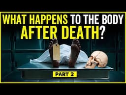 What Happens After Death? What Happens To The Human Body When You Die? How Does A Corpse Decompose?