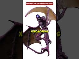 How were the Bat Xenomorphs Born? #Shorts #Viral Facehugger