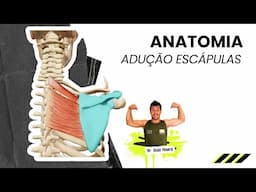 Adução ou Retração das Escápulas - Trapézio e Romboides