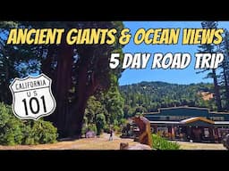 EPIC 5-Day Giant Redwood Adventure: From Clear Lake to Oregon