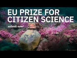 European Union Prize for Citizen Science - submit now!