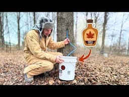 Trying to Make Our Own MAPLE SYRUP (not sure if it'll work)