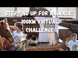 Supporting Animals, One Step at a Time 100km VIRTUAL Challenge - Tenerife Horse Rescue