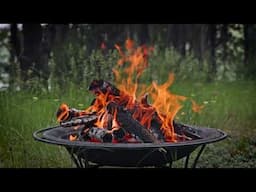 12hr Cozy Scenic Meadow Campfire: Relaxing Crackling Fireplace Sounds & Scenic Forest