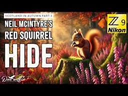 Neil McIntyre's Red Squirrel Hide - Aviemore