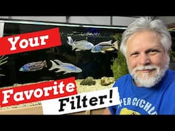 Is THIS the BEST Aquarium FILTER?