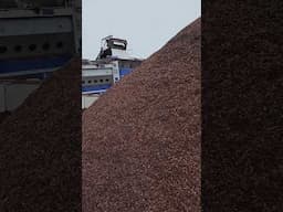 Commercial Compost Production #compost #agribusiness #growmedium