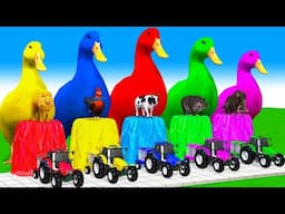 5 Giant Duck Cartoon,Cow,Mammoth,Tiger,Lion,Dinosaur,Paint Wild Animals Crossing Fountain Animation