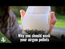 How to prepare your airgun pellets for ultimate accuracy