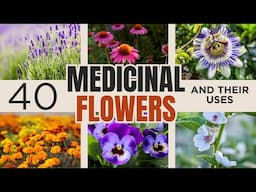 40 Medicinal Flowers And Their Uses | #medicinalplants #medicinalherbs #healingplants