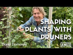 How do you shape plants with pruners?