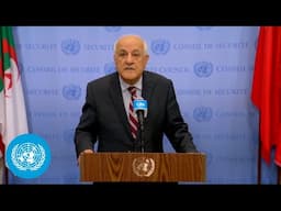 Palestine on the country - Security Council Media Stakeout | United Nations