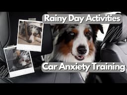 Dog Car Anxiety Training, Dog's Raw Diet Meal Prep, Car Troubles | What We Do On Rainy Days