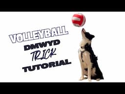 Volleyball - DMWYD: Trick Tutorial