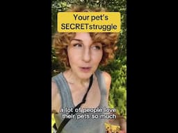 Your Pet's SECRET Struggle #shorts