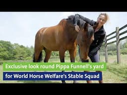 Exclusive look round Pippa Funnell's yard for World Horse Welfare's Stable Squad - Pony Tales books