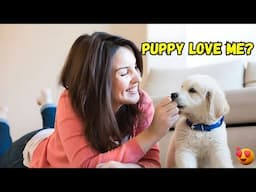 How To Know if your Puppy Loves You