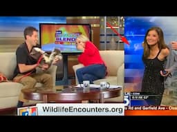 Funniest TV News Bloopers of 2021