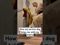 How my service dog helps my POTS #potssyndrome #servicedog