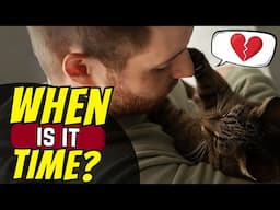 7 Questions EVERY Cat Owner Must Eventually Face