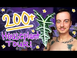 Tour of my OVER 200 Houseplants (Part 1, cause omg)