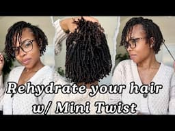 Rehydrating my Dry Natural Hair | Mini Twist | Two-Strand twist | length retention