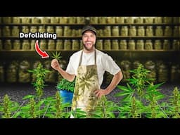 How to Defoliate to Maximize Yield | Scrog School Episode 24