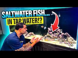 The Saltwater Aquarium BIG LIE! (EXPOSED)