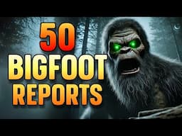 50 BIGFOOT REPORTS