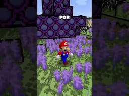 ADICIONARAM O SUPER MARIO DO “MARIO 64” NO MINECRAFT???