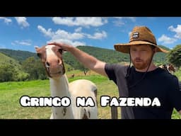 GRINGO CHOCADO com a BELEZA das FAZENDAS ANTIGAS do BRASIL (AMPARO, SP)