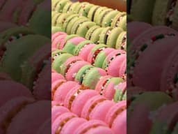 Macaron Tips for Beginners in 2025 | #macarons | #baking