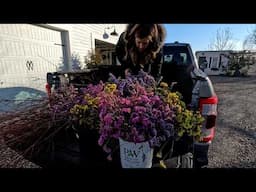 Using All Our Dried Statice in a Display at the Garden Center! 🥰🙌💚 // Garden Answer