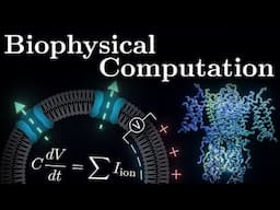 The Core Equation Of Neuroscience