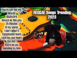 REGGAE Songs 2023 trending| You're Still the One