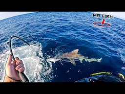 I Took My Jet Ski 28 MILES Offshore and THIS Happened **PB FISH CAUGHT**