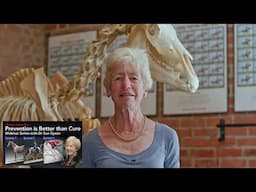 Horses Inside Out: Prevention is Better than Cure