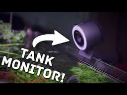 How I Monitor My Planted Tank from Anywhere—Live! | BenQ ideaCam S1 Plus Live Demo Webcam