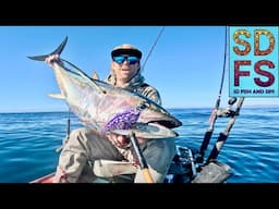 NOMAD MADMACS Yellowfin TUNA | SOLO SKIFF FIshing OFFSHORE Bahia Asuncion Baja California Sur MEXICO