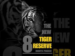 Ratapani Tiger Reserve #ratapanitigerreserve #ratapaniwildlifesanctuary #wildlifesanctuaries #upsc