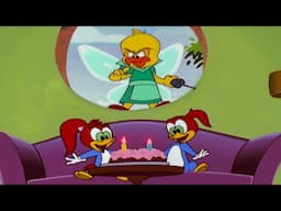 What's Your Birthday Wish? | 1 Hour of Woody Woodpecker Full Episodes