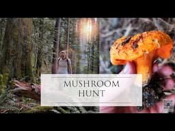 EP10 Foraging for Lobster mushrooms deep in the PNW forest - simple country living