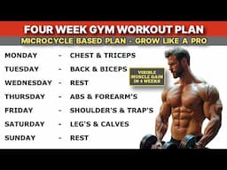 Gym Workout Plan | 4 Week | Microcycle Based | For Beginners & Intermediate | Grow Like Pro |