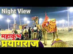 mahakumbh night views |Pryagraj sangam night views |Mahakumbh night vlogs | #mahakumbh2025 #sangam