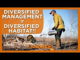 Diversify Your Management = Diversified Habitat!