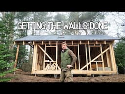 Building An Eco-Friendly Cabin Alone In The Forest [Ep. 6] Getting The Walls Done