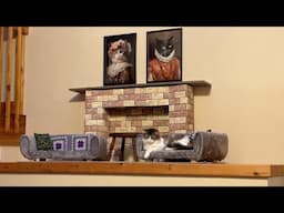 I Made My Cats A Living Room