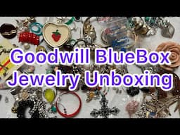 Goodwill Bluebox 5 Pound Mystery Jewelry Box Gold? Sterling?